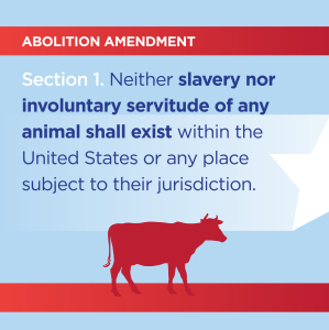 Abolition Amendment - Section 1