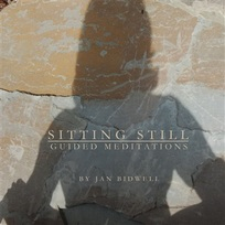 Book title: "Sitting Still - Mediation as the Secret Weapon of Activism" by Jan Bidwell