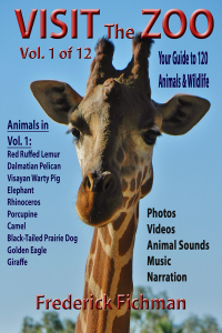 Visit the Zoo DVD Cover