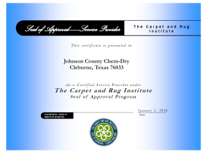 Johnson County Chem-Dry Carpet Cleaner