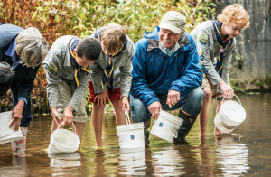 Salmon release