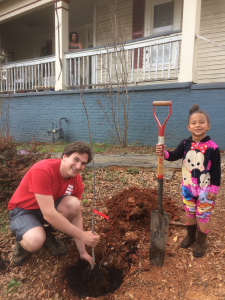 Neighbors planting an apple tree along the sidewalk in Chosewood neighborhood