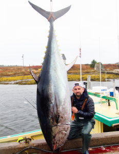Massive Bluefin Tuna