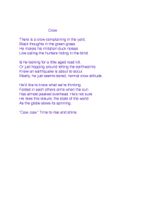 "Crow" - Poem in English
