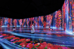 teamLab, Flowers and People, Cannot be Controlled but Live Together – Transcending Boundaries, A Whole Year per Hour, Superblue Miami