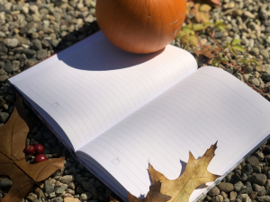 The "Pumpkin Spice & Everything Nice" Journal by Marie Sol, Interior