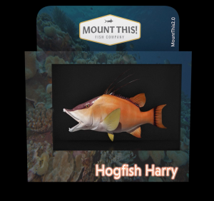 Hogfish Harry NFT image