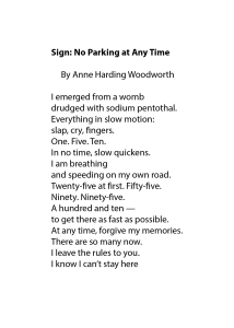 Final Poem In Anne's Collection: Sign: "No Parking at Any Time"
