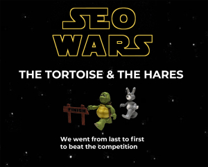 SEO Wars - The Tortoise and the Hares