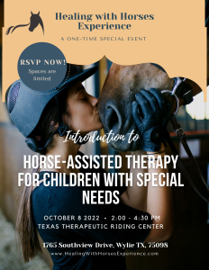 Healing With Horses Experience