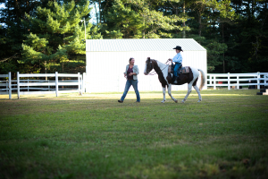 Bridlewood Academy Farm