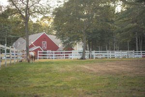 Bridlewood Academy Farm