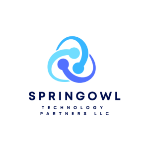 SpringOwl Technology Partners LLC