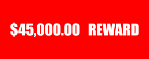$45,000.00 Reward