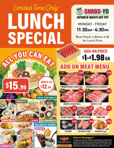 New $15.99 Lunch Buffet Special