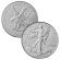 1 oz American Silver Eagle Coin