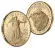 1 oz American Gold Eagle Coin