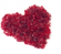 Omega Bits Cranberry Pieces - Fruit Snack