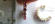 Multi mini pink color cz stone embedded C shape pattern design sterling silver earring
