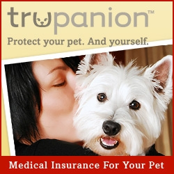 Dog health insurance