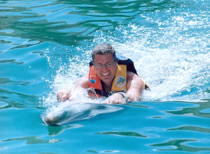 Swim with dolphins, sea lions and manatees in the Riviera Maya