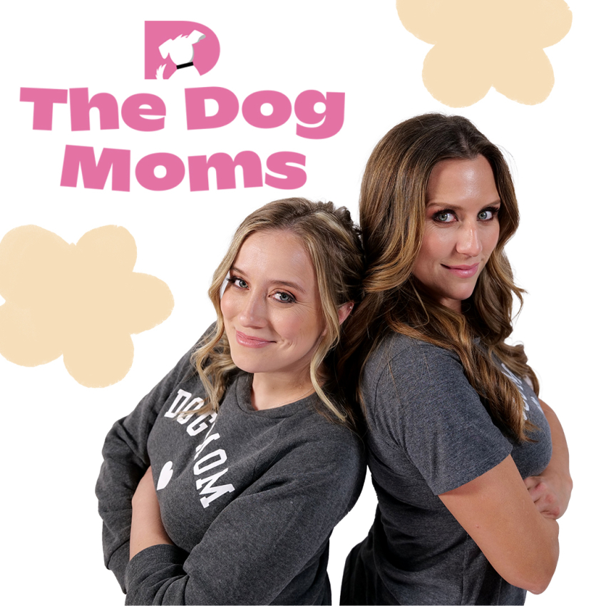 DOGTV Launches New Program "The Dog Moms" Starring Nationally Renowned