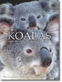 Koalas: Moving Portraits of Serenity (Book)